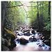 Nature Photography Prints - 19" River of Life Canvas Wall Art