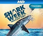 Shark Bites: Adventures in Shark Week [HD]