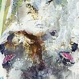 Tail Swallower And Dove [VINYL]