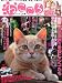 : ねこころ 2014年 03月号 [雑誌]