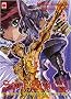 Saint Seiya Episode G, Tome 14 :