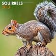 Squirrels 2013 Square 12X12 Wall Calendar