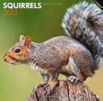 Squirrels 2013 Square 12X12 Wall Cale...