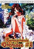 Berauschende Orchidee # 2