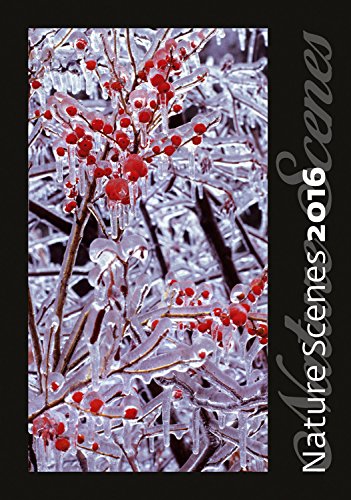 Nature Scenes Wall Calendar 2016 - Flower Calendar - Photography Calendar by Helma