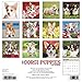Just Corgi Puppies 2017 Wall Calendar (Dog Breed Calendars)