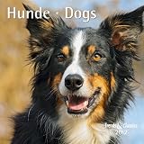 Hunde - Dogs 2012. Trends & Classics Kalender