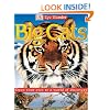Eye Wonder: Big Cats (Eye Wonder)