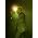 Thumbnail image of Zoot Woman
