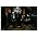 Vignette de Good Charlotte