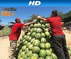 The Amazing Race [HD]: Bust Me Right In the Head with It [HD]