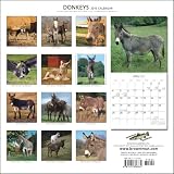 Donkeys 2010 Calendar 画像