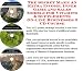 Book The Secret Make An Extra Income, Inner Game and Sales Models for Vitamins & Supplements On-line Businesses 3 CD Course