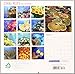 2013 Coral Reefs