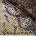 Snakeskin Violin