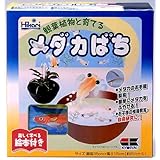 ���i�̏ڍ�