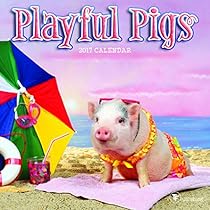 2017 Playful Pigs Mini Calendar