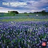 Texas Wildflowers 2013 Square 12X12 Wall Calendar