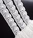 Vintage Embroidered Lace Edge Trim Ribbon Wedding Applique DIY Sewing Craft (A-10Yards, White)