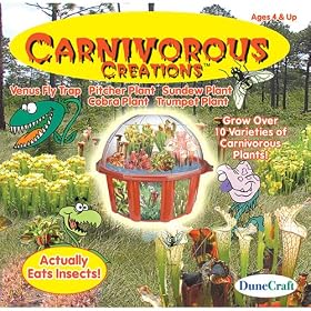 Grow Your Own Carnivorous Creations Terrarium by Dune Craft