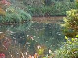 Natur Mauspad (567)