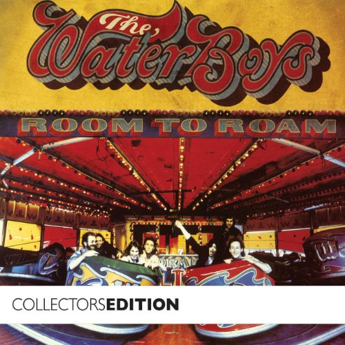 Waterboys - Bigger Picture Lyrics - Zortam Music