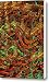Chile Peppers Canvas Print / Canvas Art - Artist Ron Bissett