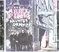 Photo of Ariel Pink's Haunted Graffiti