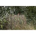 Jack Pyke English Oak 'CLEARVIEW' Hide Net - 4m x 1.5m