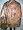 Womens Burnt Umber, Rich Gold Cutwork Pashmina Jamavar Shawl Wrap Throw Image #4