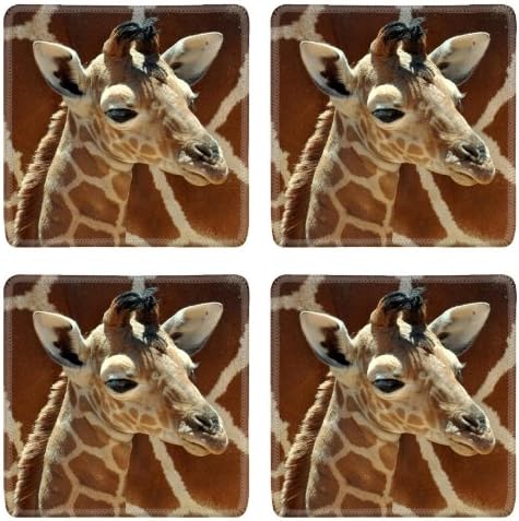 Giraffe Small Calf Face Pattern Cute Baby Africa Wildlife Animal Square Coaster (4 Piece) Set Fabric Rubber 5 Inch Size Luxlady Coaster Cup Mug Can Water Bottle Drink Coasters Stain Resistance Collector Kit Kitchen Table Top Desk