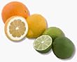 citrus blend tea