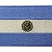 Argentina Flag Embroidered Argentinian National Emblem Iron On Sew On Patch