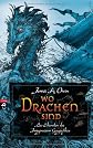 Die Chroniken der Imaginarium Geographica. Wo Drachen sind