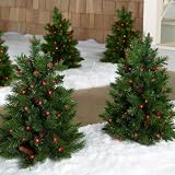 Cordless LED Pre-lit Walkway Tree