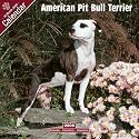 2009 American Pit Bull Terrier Wall Calendar