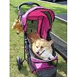 CARRIOLA para MASCOTA PET GEAR SPECIAL EDITION (Varios colores)