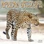 2009 African Wildlife Wall Calendar
