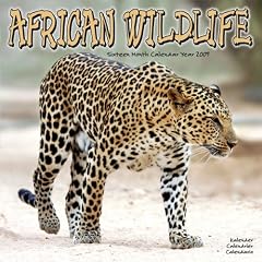 2009 African Wildlife Wall Calendar