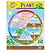 Trend Enterprises Inc Life Cycle of a Plant Learning Chart, 17