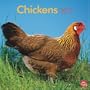 Chickens 2011 Square 12X12 Wall Calendar
