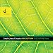 Classical Music : Simple Lines of Enquiry