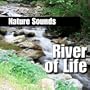 Large Forceful River Flow for Relaxation