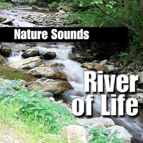 Large Forceful River Flow for Relaxation