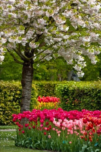 Dutch Spring Garden Keukenhof in Holland/Netherlands Journal: 150 page lined notebook/diary