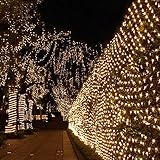 Ecandy8モード2M x 3M 200 LEDメッシュ妖精ライト 屋内屋外のホームガーデンクリスマスパーティーウェディング用 (1.5MX1.5M, 暖かい白い)