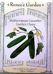 Mediterranean Cucumber Garden Oasis Seeds 35 Seeds