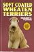 Soft-Coated Wheaten Terriers