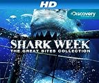 play video on Amazon Prime