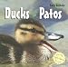 Search : Ducks/Patos (Baby Animals)